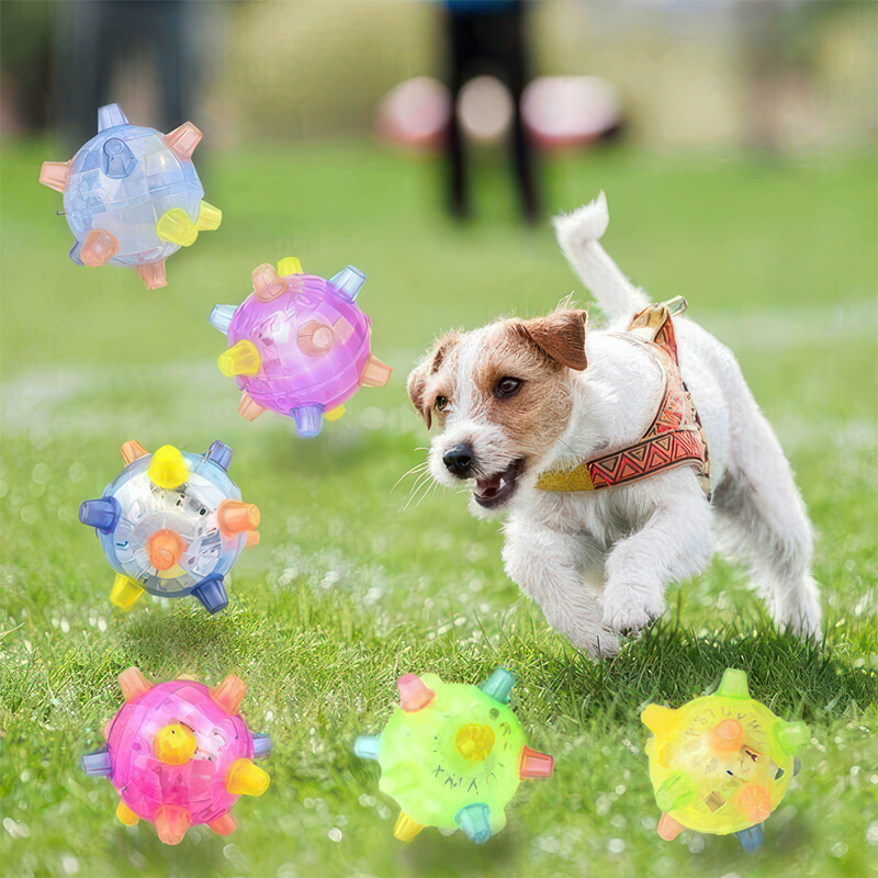 Jumping Activation Ball for Dogs and Cats - Paws and Joy