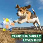 Jumping Activation Ball for Dogs and Cats - Paws and Joy