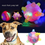 Jumping Activation Ball for Dogs and Cats - Paws and Joy