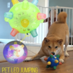 Jumping Activation Ball for Dogs and Cats - Paws and Joy